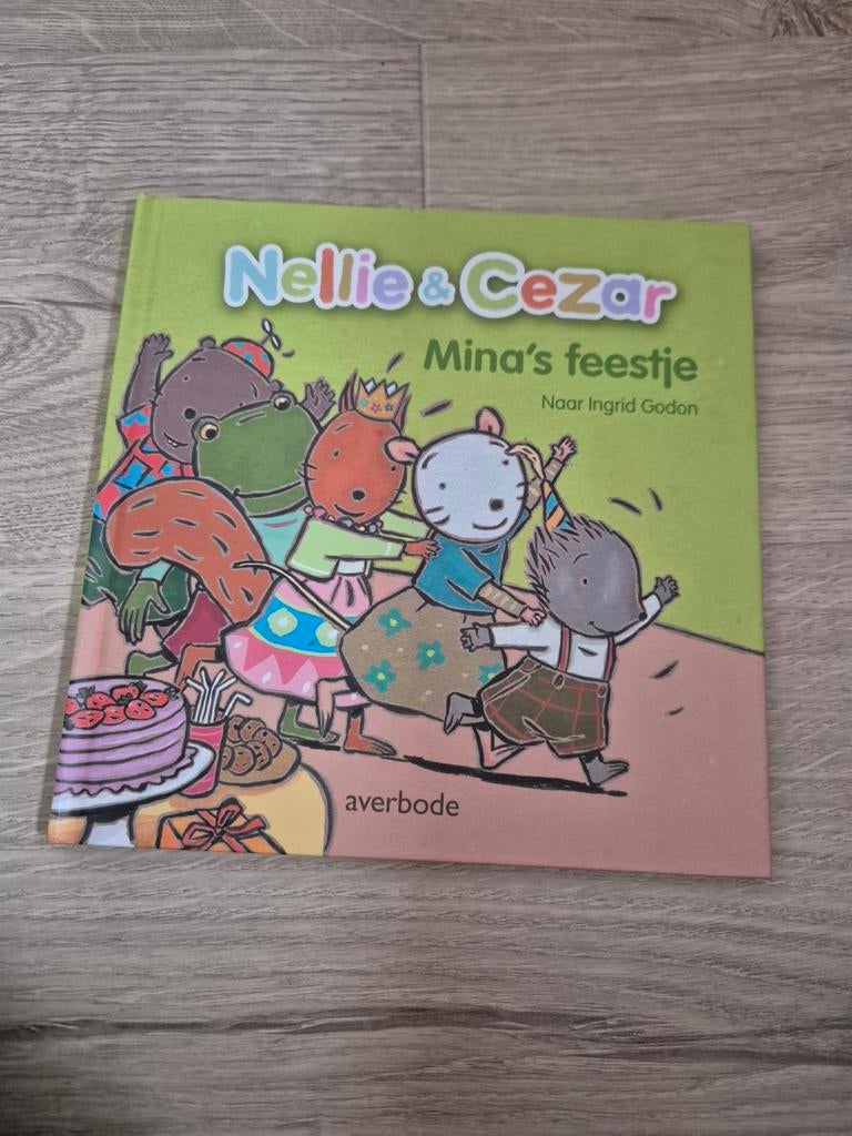 Diane Redmond - Mina's feestje, Neuf, Fiction général, Diane Redmond; Ingrid Godon, Enlèvement