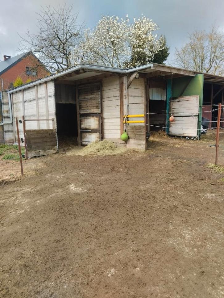 PENSION CHEVAUX, Animaux & Accessoires, Box & Pâturages, Mise à l'étable, Pâturage, 2 ou 3 chevaux ou poneys