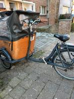 Babboe curve E, Fietsen en Brommers, Fietsen | Bakfietsen, Gebruikt, Elektrisch, 2 kinderen, Ophalen