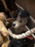 Kist met antieke beren, Verzamelen, Ophalen