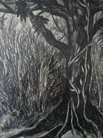 tekening Etienne Le Compte Bogor Grote boom, Antiek en Kunst, Ophalen of Verzenden