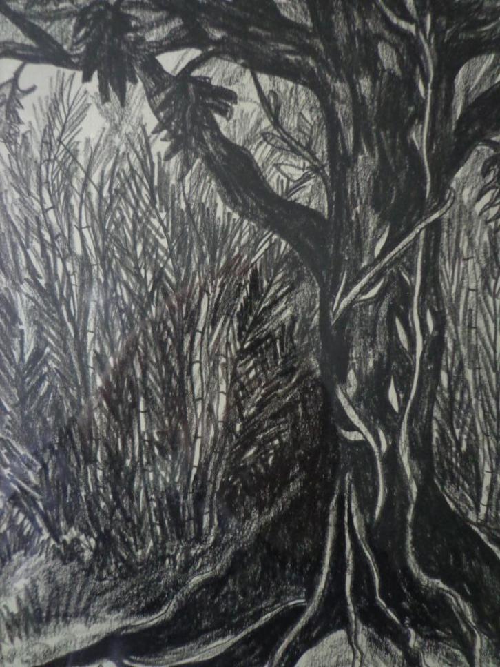 tekening Etienne Le Compte Bogor Grote boom, Antiek en Kunst, Kunst | Tekeningen en Fotografie, Ophalen of Verzenden