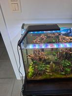 Aquarium verlichting, Dieren en Toebehoren, Vissen | Aquaria en Toebehoren, Ophalen of Verzenden, Nieuw, Verlichting of Verwarming