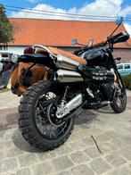 Triumph Scrambler 1200CC, Motoren, Motoren | Triumph, Particulier, Meer dan 35 kW, 1200 cc