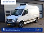 Mercedes-Benz Sprinter 513 CDI L2H2 Kuhlkasten - Carrier - A, Auto's, Bestelwagens en Lichte vracht, Wit, Mercedes-Benz, Bedrijf