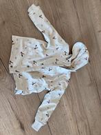 Kinderjas fresk 86, Enlèvement