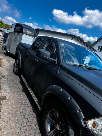 Paardentransport/trailerverhuur beschikbaar voor biedingen