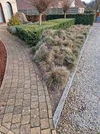 Gratis, Tuin en Terras, Ophalen