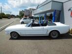 Ford Mustang bench (bj 1965, automaat), Auto's, Oldtimers, Te koop, Bedrijf, Benzine, 225 kW