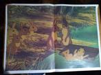 Vintage poster Watership down, Verzamelen, Posters, Rechthoekig Liggend, Ophalen of Verzenden, Zo goed als nieuw, A1 t/m A3