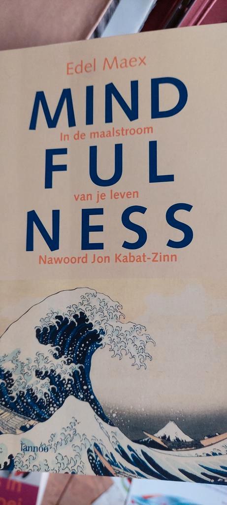 Edel Maex - Mindfulness, Boeken, Esoterie en Spiritualiteit, Zo goed als nieuw, Ophalen of Verzenden