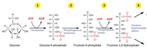 Biochemie, Diversen, Ophalen of Verzenden