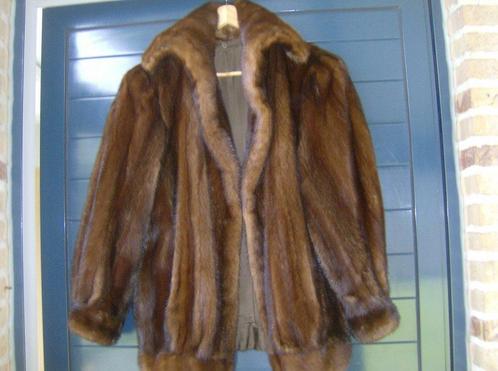 Bontjas - Nerts - maat L - 44/46, Kleding | Dames, Jassen | Winter, Maat 42/44 (L), Ophalen of Verzenden