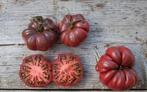 Bio tomatenplanten (veel verschillende soorten), Ophalen