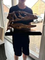 Deinonychus replica schedel / dinosaurus, Verzamelen, Mineralen en Fossielen, Ophalen of Verzenden