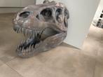 T-rex schedel replica, Antiek en Kunst, Ophalen of Verzenden