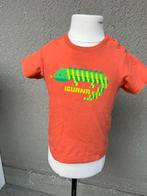 orchestra 74, Kinderen en Baby's, Babykleding | Maat 74, Gebruikt, Jongetje of Meisje, Ophalen of Verzenden, Shirtje of Longsleeve