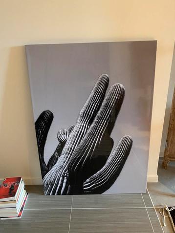 Foto 90x125 beschikbaar voor biedingen