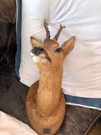 Tête de cerf en peluche, Enlèvement ou Envoi, Comme neuf