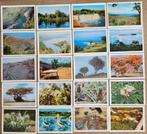 64 oude fotoprenten: Faunaflor Congo (reeks 1), Verzamelen, Foto's en Prenten, Gebruikt, Ophalen of Verzenden, Natuur, Prent