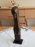 Bronzen beeld, Enlèvement