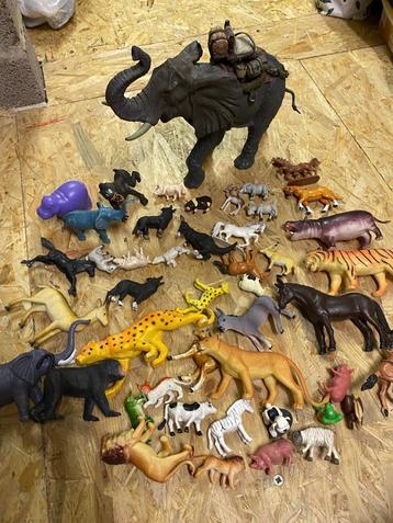Lot speeldieren beschikbaar voor biedingen