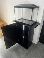 Aquarium voor siervissen, Dieren en Toebehoren, Vissen | Aquariumvissen, Vis, Zoetwatervis