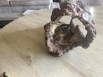 Aquarium decoratie, Ophalen of Verzenden, Zo goed als nieuw