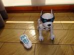 Robot hond met afstandsbediening, Ophalen of Verzenden, Zo goed als nieuw, Afstandsbediening