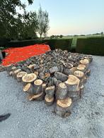 Brandhout halfgedroogd Ceder 20-25 m3, 6 m³ of meer, Ophalen, Overige houtsoorten, Blokken