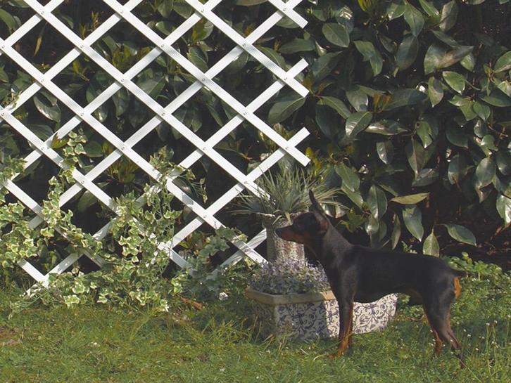 Klimrek planten H.150 X 50 CM kunststof wit, Tuin en Terras, Schuttingen, Nieuw, Kunststof, Minder dan 1 meter, Minder dan 3 meter