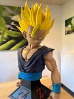 Dragonball Z, Enlèvement, Utilisé