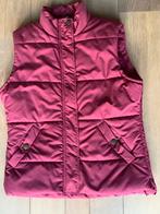 Bodywarmer donkerrood merk Jackpot maat 38, amper gedragen., Vêtements | Femmes, Blousons sans Manches, Comme neuf, Jackpot, Taille 38/40 (M)