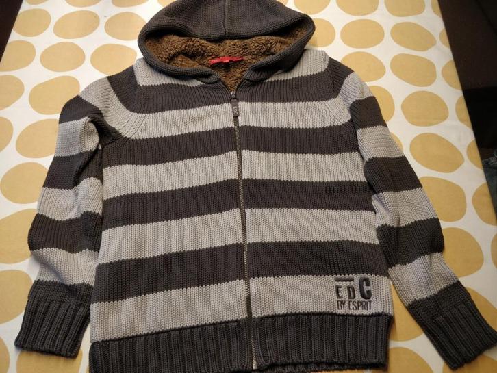 gilet avec sweat à capuche, Vêtements | Hommes, Pulls & Vestes, Porté, Taille 52/54 (L), Gris, Enlèvement