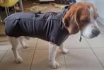 honden regenjas + windjas, Dieren en Toebehoren, Hondenkleding, Ophalen of Verzenden, Zo goed als nieuw, Hondenregenjas