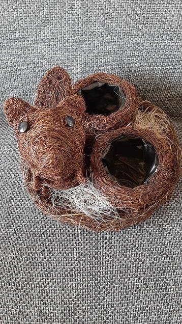Bloemenmand beschikbaar voor biedingen