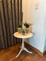 3x bloempot met sanseveria plant, Huis en Inrichting, Kamerplanten, Ophalen