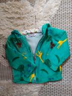 Regatta great outdoors 86 strandjasje jungle 🦒, Kinderen en Baby's, Babykleding | Maat 86, Ophalen of Verzenden, Jasje