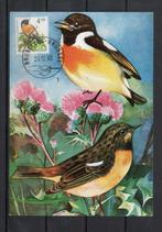 Année 1990 : Carte maximum 2397 - Oiseaux - Traquet pâtre -, Ophalen of Verzenden