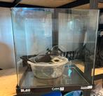 Aquarium, Animaux & Accessoires, Reptiles & Amphibiens | Accessoires, Enlèvement, Utilisé