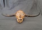 Dayak trofee schedel, Ophalen of Verzenden
