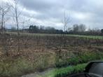 Terre forestière à Wachtebeke, Wachtebeke, Ventes sans courtier, 1500 m² ou plus