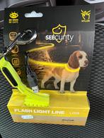 Laisse pour chien Seecurity nylon Flash Light Line USB, Animaux & Accessoires, Comme neuf, Laisse pour chien