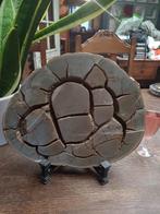 Septaria, Ophalen