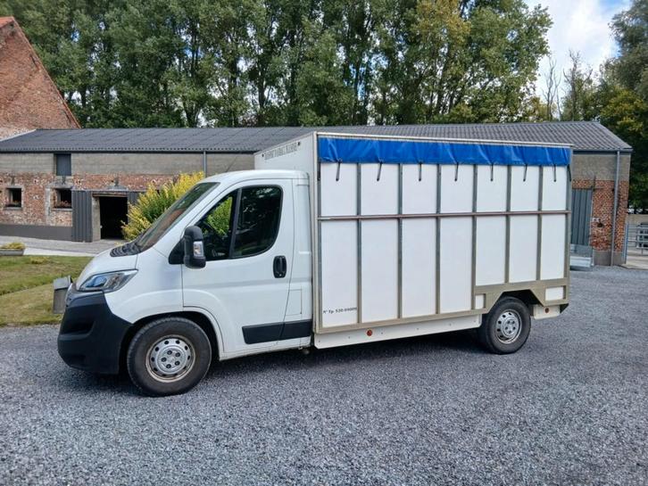 Veewagen, Auto's, Bestelwagens en Lichte vracht, Particulier, Citroën, Diesel, Euro 6, 2 deurs, Handgeschakeld, Wit, Grijs, Voorwielaandrijving