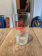 Triumph pils glas 25 cl  t Hamerken Brugge, Verzamelen, Ophalen of Verzenden, Gebruikt, Glas of Glazen, Overige merken