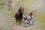 Shetlandpony zoekt verzorger, Dieren en Toebehoren