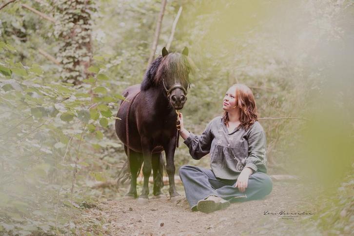 Shetlandpony zoekt verzorger, Dieren en Toebehoren, Stalling en Weidegang