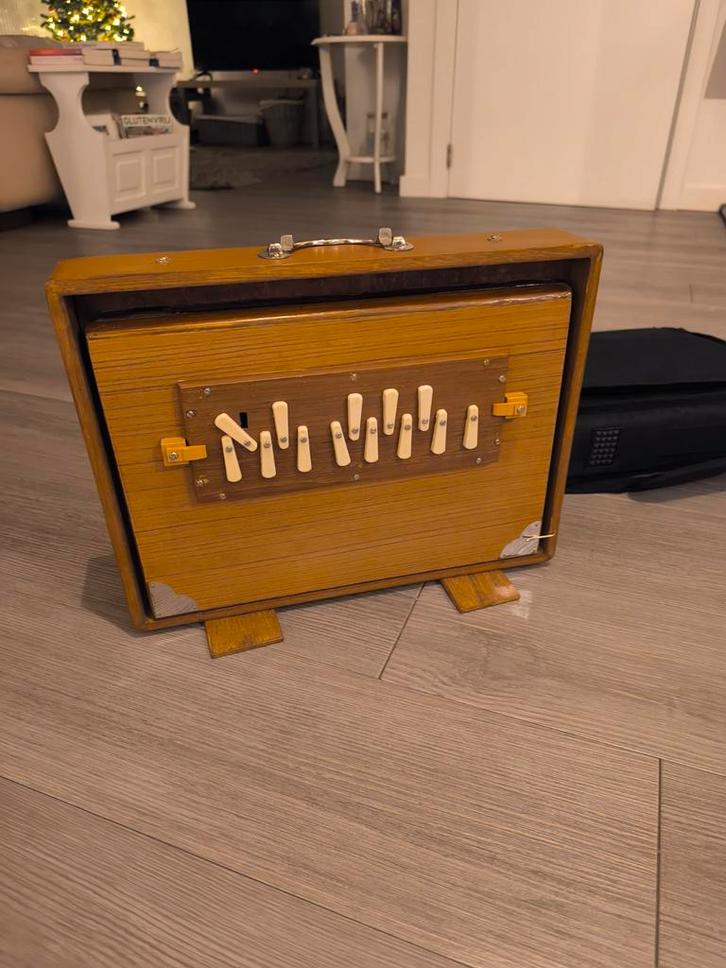 Shruti box large C3, Muziek en Instrumenten, Overige Muziek en Instrumenten, Ophalen