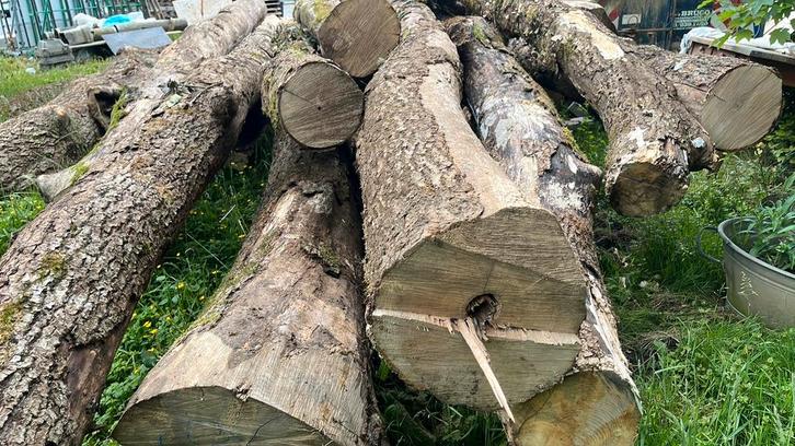 Bois de chauffage sec, hiver 2025, Tuin en Terras, Brandhout, Blokken, Eikenhout, 6 m³ of meer, Ophalen